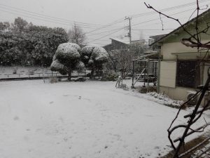 2018大雪3