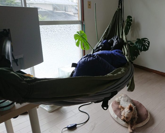 ハンモックで熟睡2